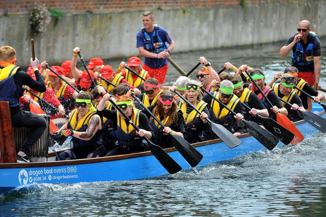 Chichester Dragon Boat Race. Picture: Steve Robards SR1915210