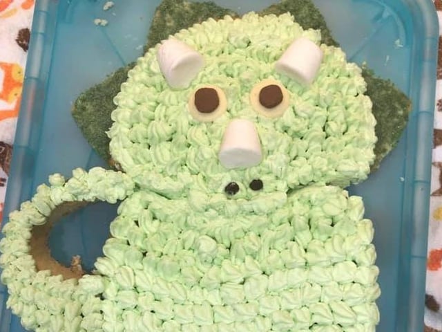 Terri Sansom made her son a triceratops cake for his third birthday SUS-200414-150347001