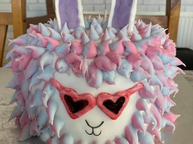 Kelly Bolton made this incredible llama cake for her daughter's 11th birthday SUS-200414-151202001