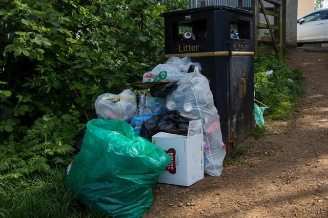 Rubbish next to a bin at Sharman Lake, Delapre. Photo: Leila Coker