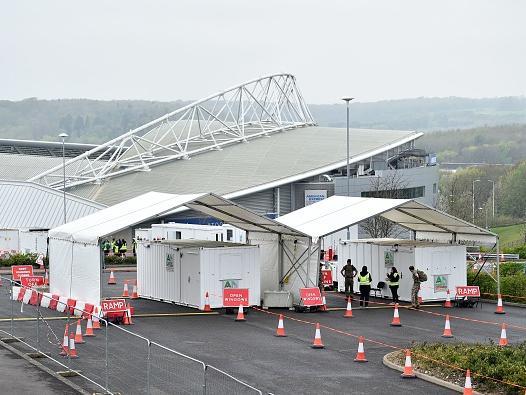 The Amex Stadium