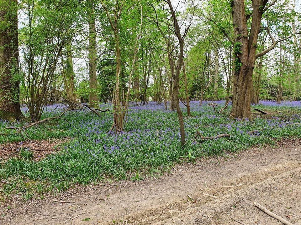Cowfold