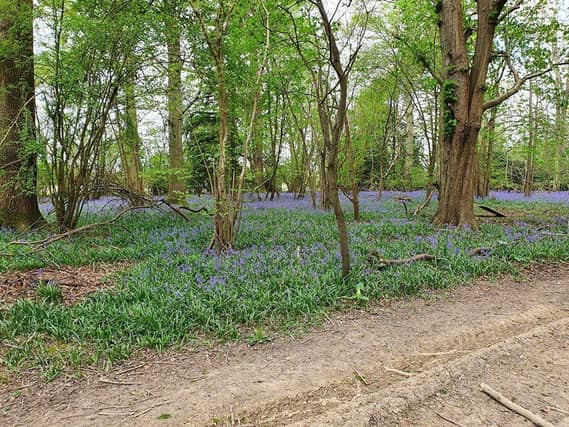 Cowfold