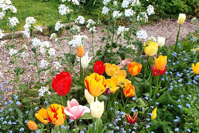A colourful display of spring flowers in Ratton, by Eileen Kilgour. SUS-200422-105720001