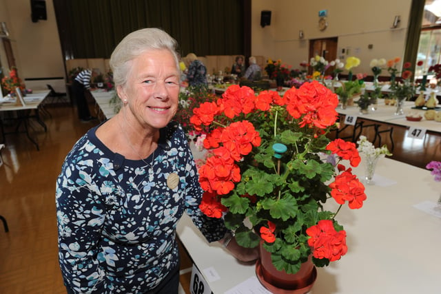 Billingshurst Horticultural Society annual show 2015. Picture: Jon Rigby