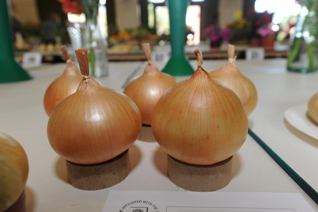 Billingshurst Horticultural Society annual show 2015. Picture: Jon Rigby
