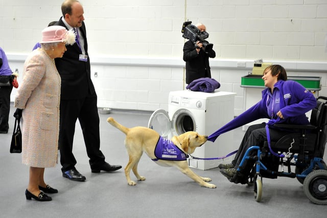 The Queen's visit to Canine Partners