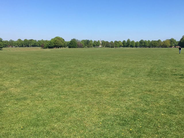 Northampton Hub Specials - 2pm on a lovely Saturday and Im pleased to be able to see a pretty empty Racecourse Park. Northampton residents supporting the NHS#STAYingHOMEThank you#c7172