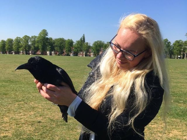 Northampton Neighbourhood Police Team - At two metres distance I met this lady with her very tame Crow called Woody Racecourse Npton #c7172 #SaveOurNHS