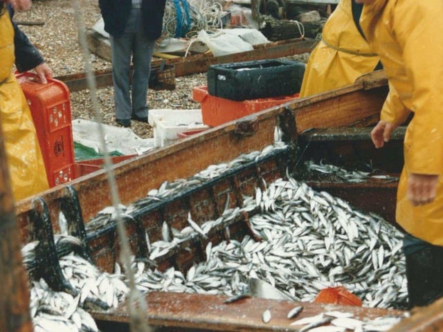 Allchorn fishing boats