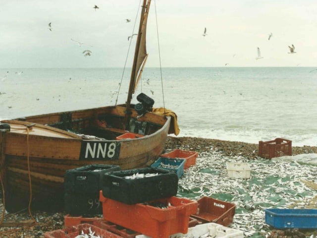 Allchorn Fishing boats