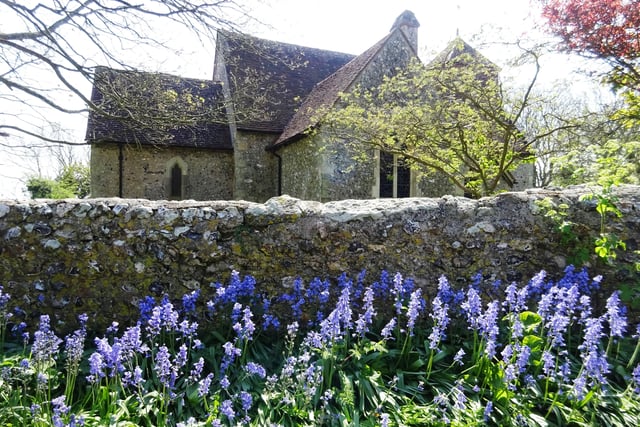 Bluebells at St Mary the Virgin church, Friston, by Ken Stevenson using a Sony Cybershot DSC-WX350. SUS-200428-114805001