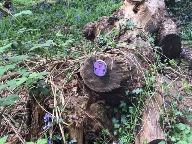 Vikki Shelley took this picture. She said: "Someone’s been making fairy doors and putting them in the woods around Cedar Drive in Southwater!"
