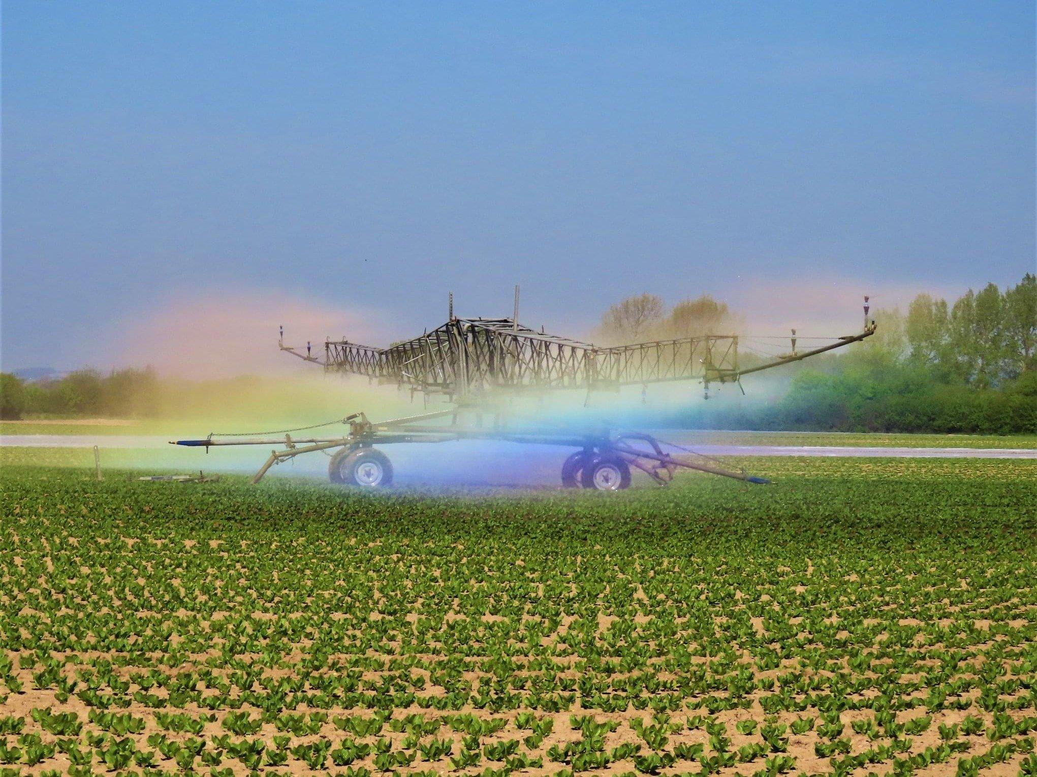 Judy Hewlett snapped this brilliant rainbow in a field in Bilsham