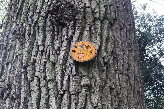 Vikki Shelley took this picture. She said: "Someone’s been making fairy doors and putting them in the woods around Cedar Drive in Southwater!"