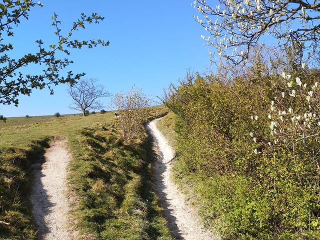 Storrington, by Helen Smith