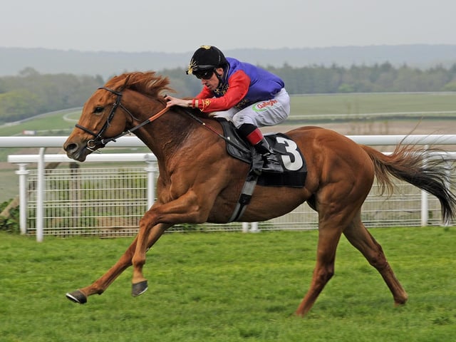 The 2017 opener on the Downs / Picture: Malcolm Wells