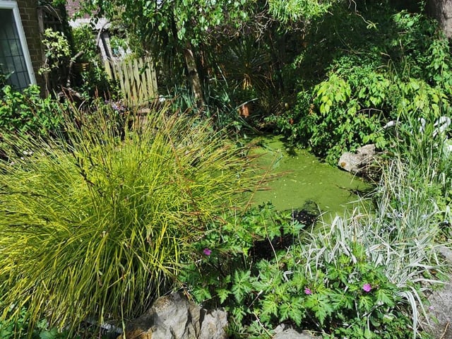 Sue Price, Burgess Hill
