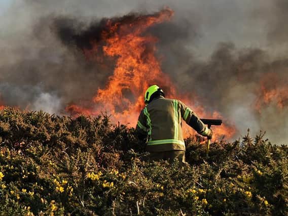 The fire near Birling Gap. Picture: David Baker