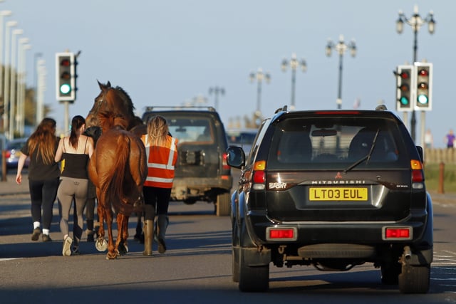 Two horses made a bid for freedom from Lancing through Worthing SUS-200705-112900001