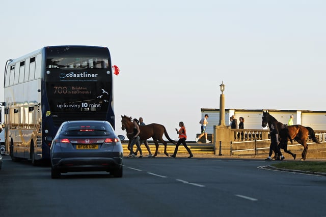 Two horses made a bid for freedom from Lancing through Worthing SUS-200705-112914001