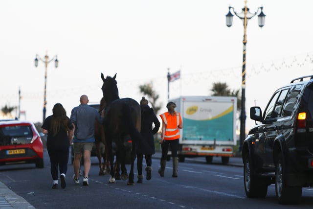 Two horses made a bid for freedom from Lancing through Worthing SUS-200705-112931001