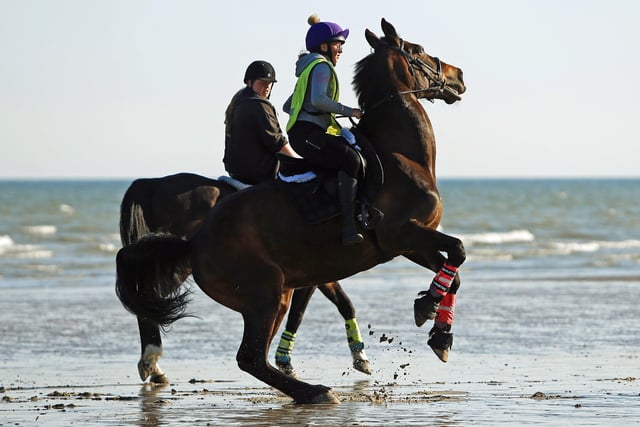 Two horses made a bid for freedom from Lancing through Worthing SUS-200705-112543001