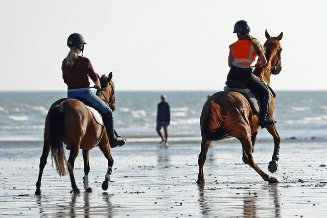 Two horses made a bid for freedom from Lancing through Worthing SUS-200705-112554001