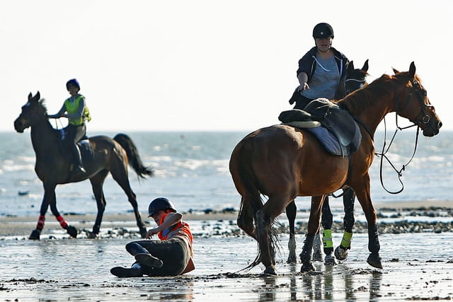 Two horses made a bid for freedom from Lancing through Worthing SUS-200705-112613001