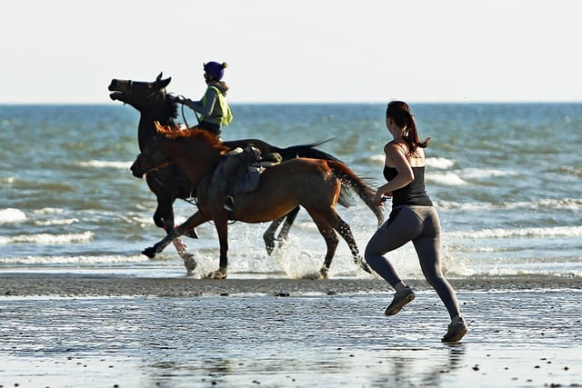 Two horses made a bid for freedom from Lancing through Worthing SUS-200705-112625001