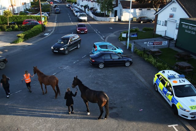 Two horses made a bid for freedom from Lancing through Worthing SUS-200705-111509001