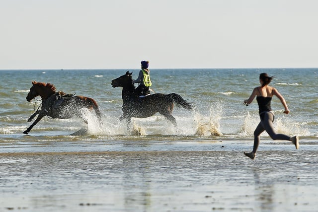 Two horses made a bid for freedom from Lancing through Worthing SUS-200705-112635001