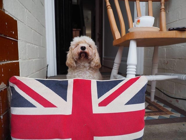 Lenny Shakespeare - Bertie celebrates VE day