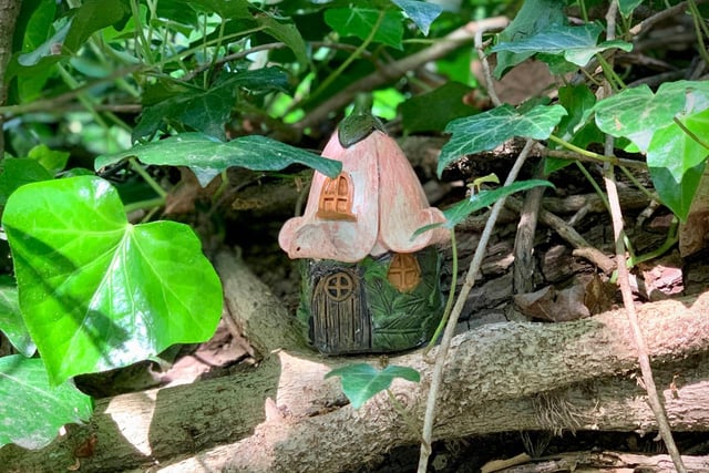Have you seen the fairy houses? (C) Paolo Black