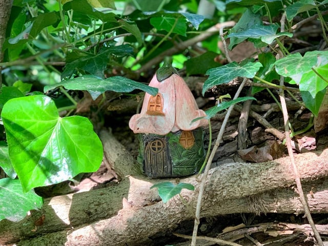 Have you seen the fairy houses? (C) Paolo Black