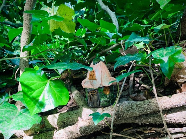 The fairy houses are hidden in the forest (C) Paolo Black