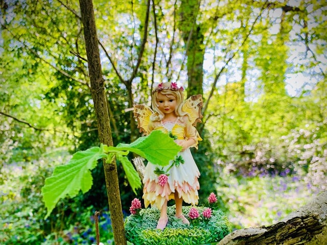 Children have been adding to the collection in the forest (C) Paolo Black