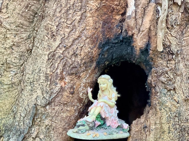 There are lots of fairies to see (C) Paolo Black