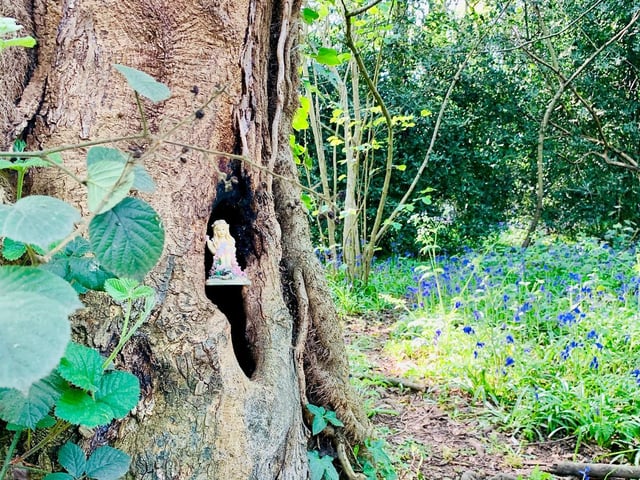 There are lots of fairies in the forest (C) Paolo Black