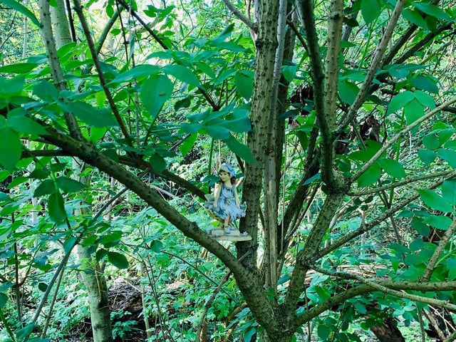 Fairies are hidden in the trees (C) Paolo Black