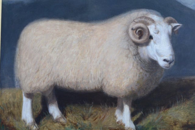 Cheviot Ram, oil on canvas, 39 x 30 inches, circa 1840, attributed to William Shiels R.S.A. £14,950 from Blackbrook Gallery
