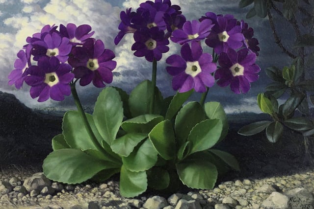 Raymond Booth: Auricula, oil on board,signed and dated l.r.: R C Booth/April 1958. £3,800 from Sarah Colegrave