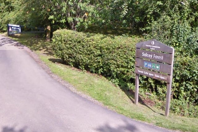 Salcey Forest can be visited by car now with the car park open but many other facilities, including the tree top walkway and the toilets, remain closed. Photo: Google
