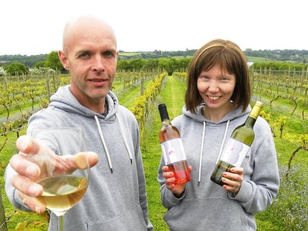 Brynne Vineyard - free delivery within 10-mile radius of Brixworth