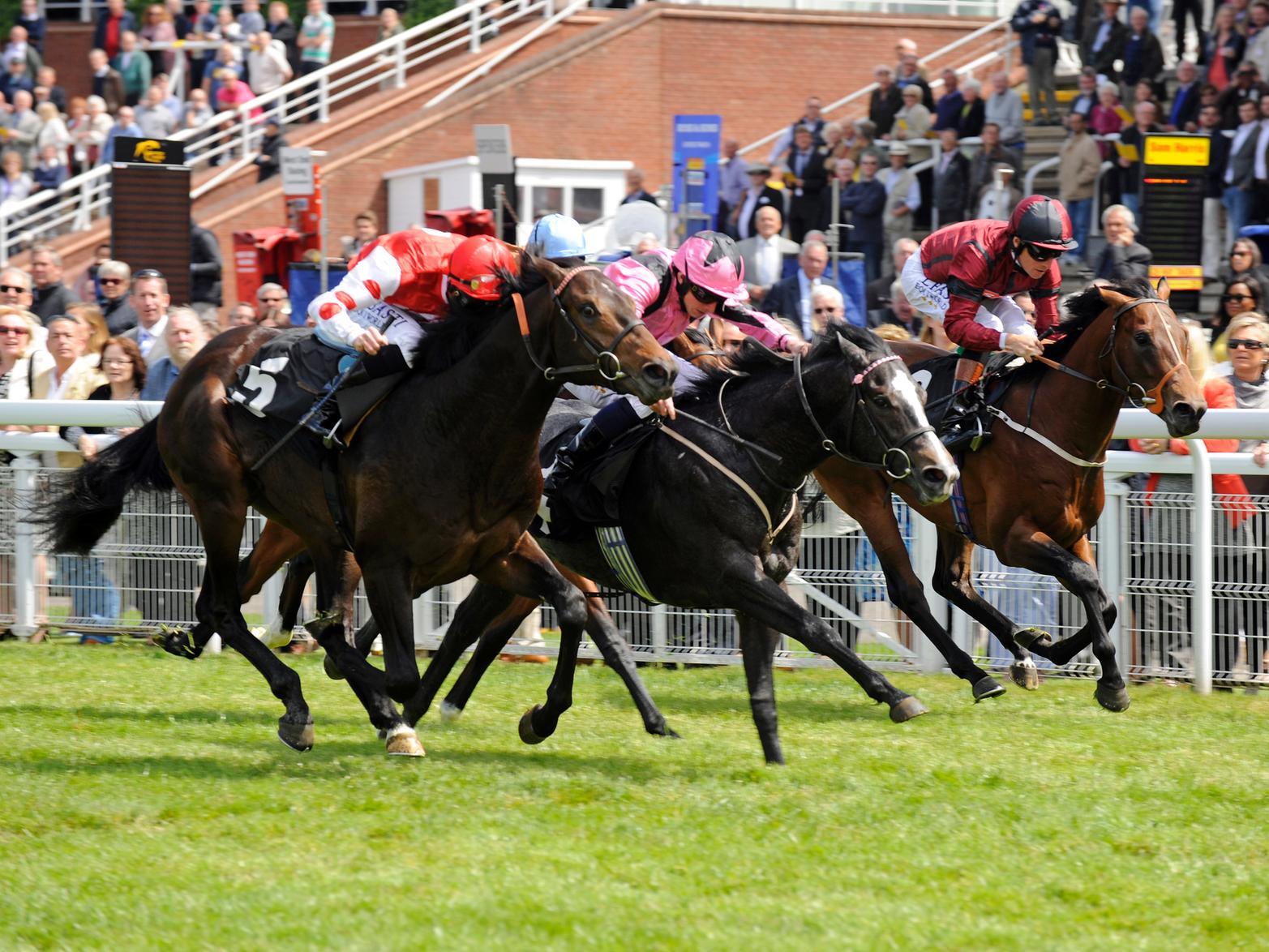 Scenes from the 2015 May Festival / Picture: Malcolm Wells