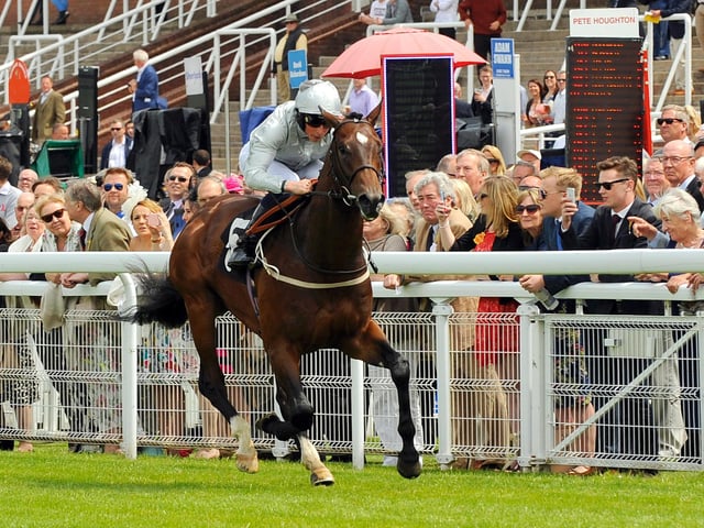 Action at the 2016 May Festival / Picture: Malcolm Wells
