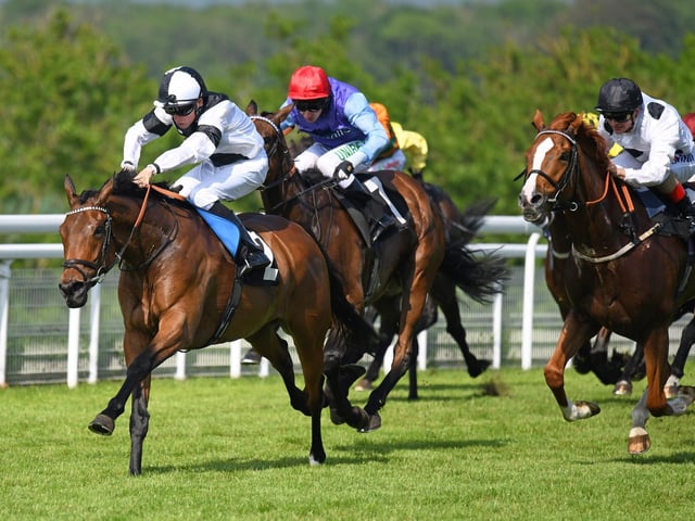 Action at the 2018 May Festival / Picture: Malcolm Wells
