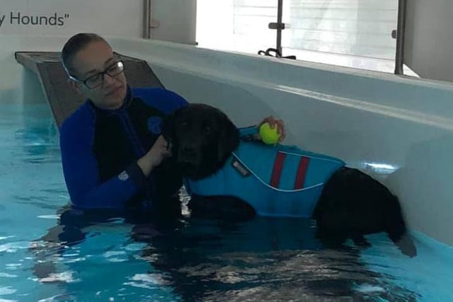 Amanda Howcroft said: "My dog having a swimming session"