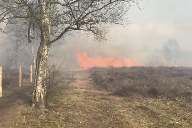 The wildfire at Iping Common in 201