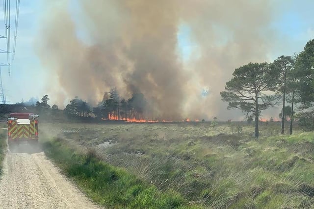 The fire in Wareham Forest